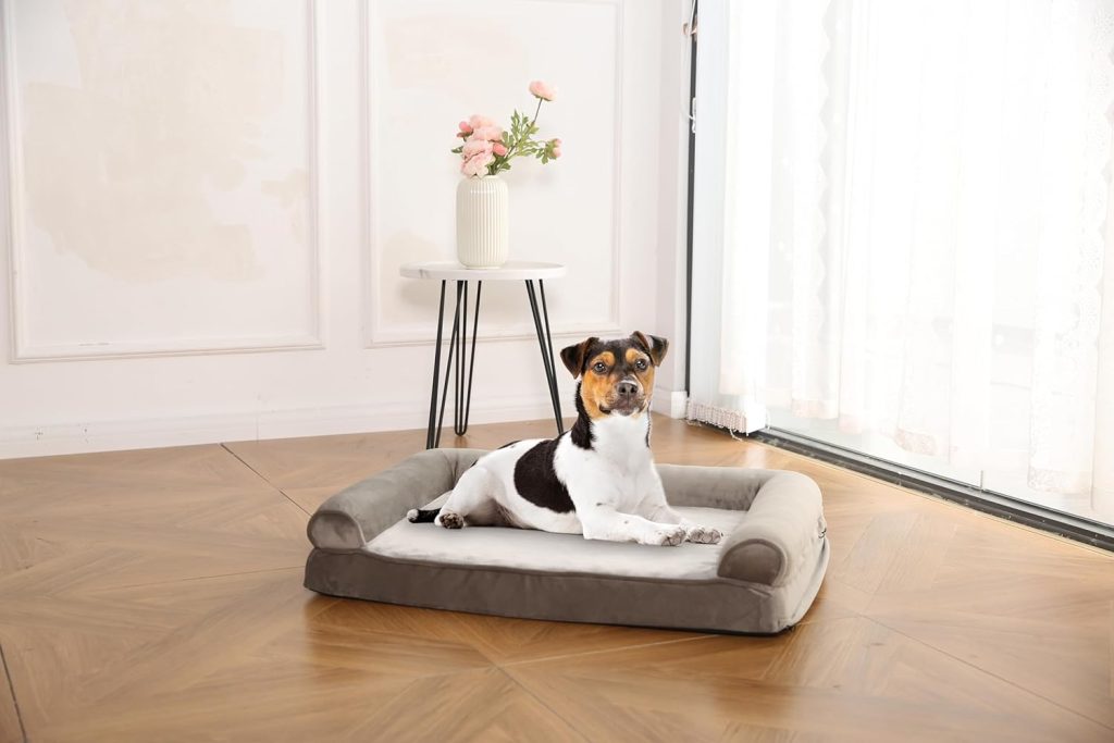 Pet Products Amazon-Amazon Basics Orthopedic Dog Bed