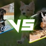 Fi vs. Tractive GPS Collars: The Ultimate Comparison for Active Dog Owners