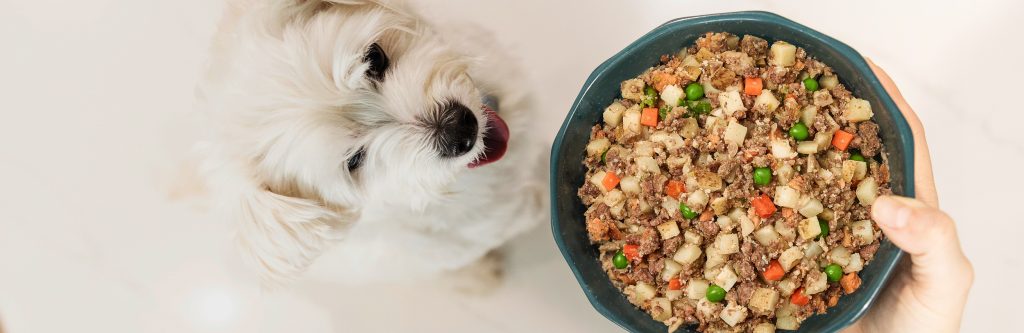 Dog Food for Sensitive Stomachs and Diarrhea Relief_nutritions