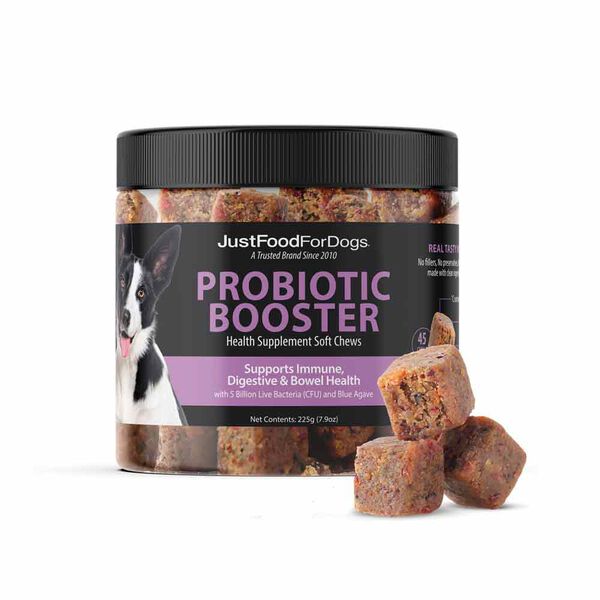 Dog Food for Sensitive Stomachs and Diarrhea Relief_probiotics