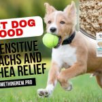 Best Dog Food for Sensitive Stomachs and Diarrhea Relief