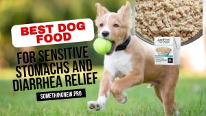 Read more about the article Best Dog Food for Sensitive Stomachs and Diarrhea Relief