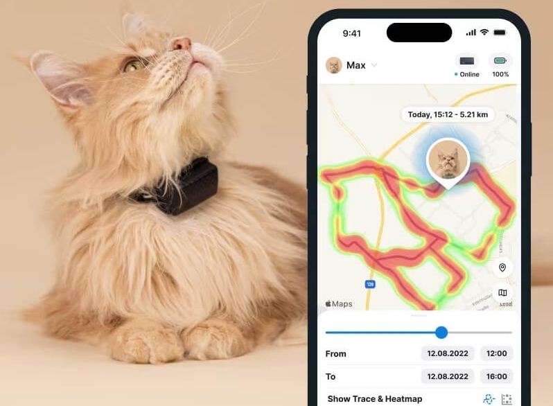 best GPS tracker for cats-tracking1