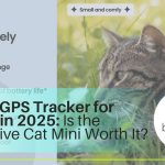 Best GPS Tracker for Cats in 2025: Is the Tractive Cat Mini Worth It?