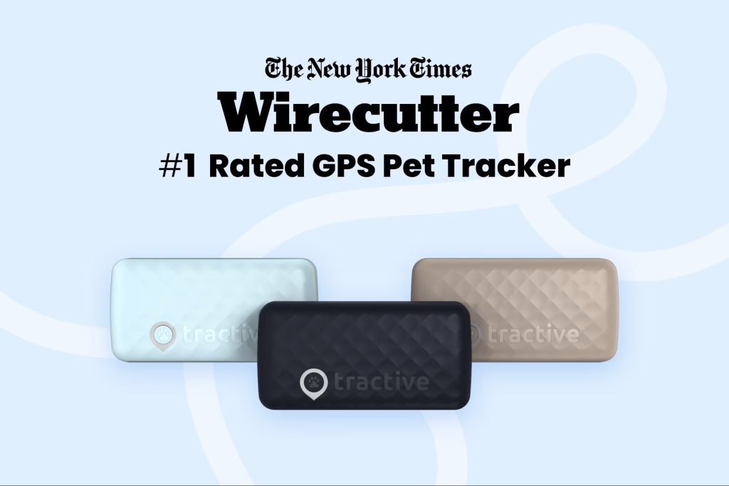 best GPS tracker for cats-colors