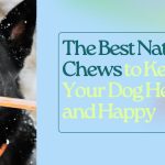The Best Natural Chews to Keep Your Dog Healthy and Happy