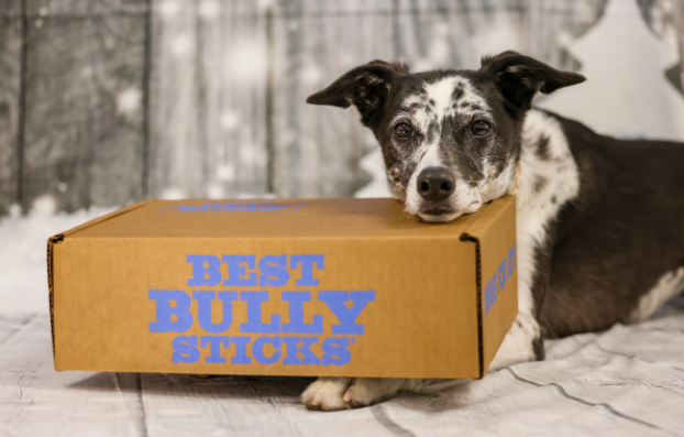 Best Natural Chews:dog_with_box